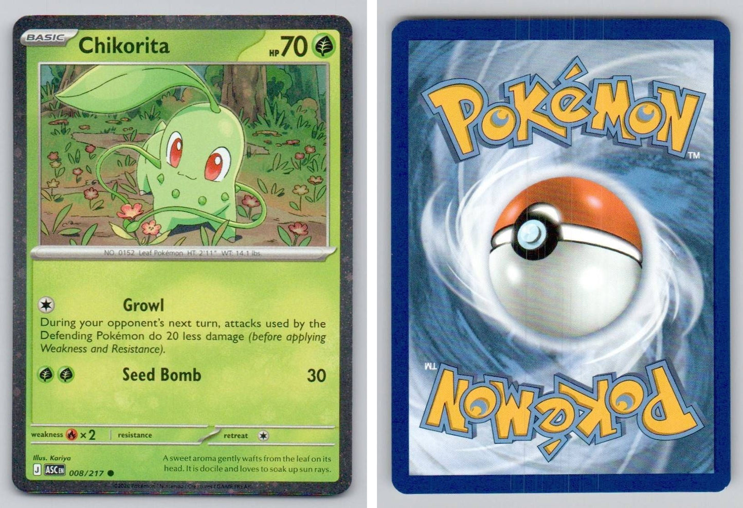 Front + Back scan