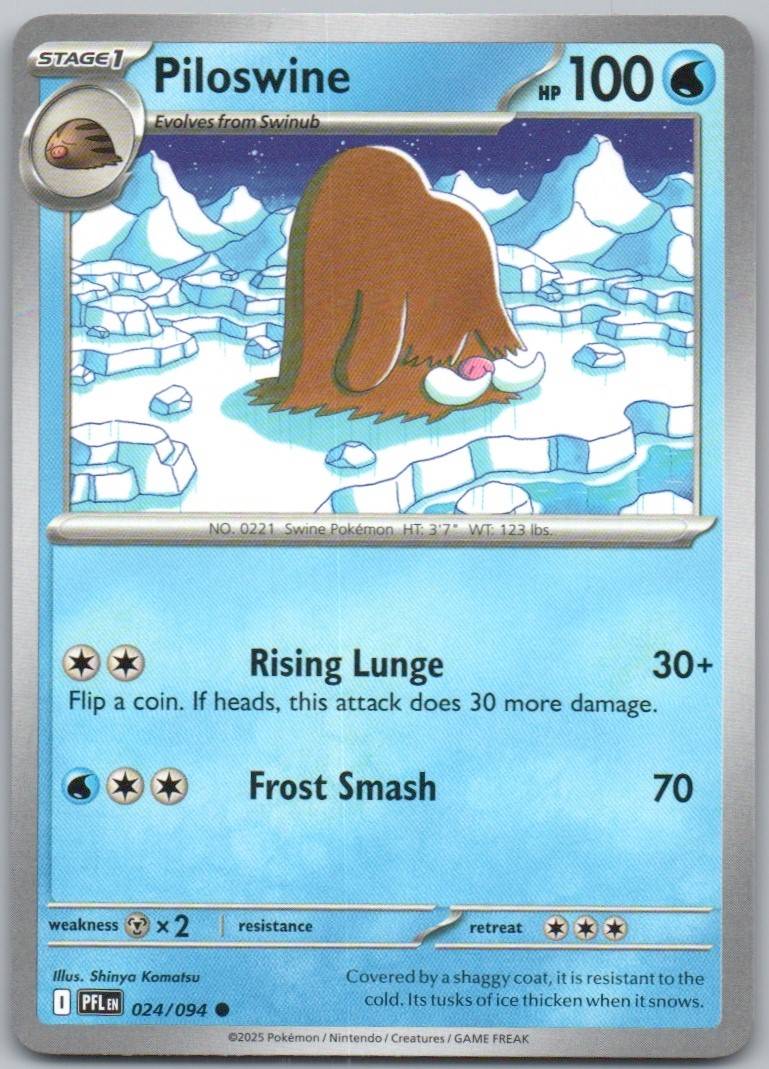 24 - Piloswine