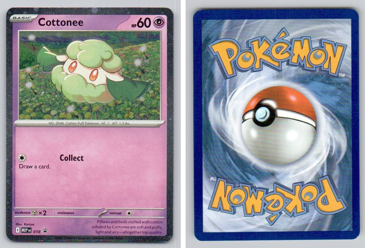 Front + Back scan