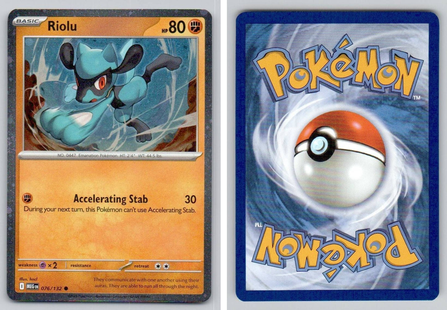 Front + Back scan