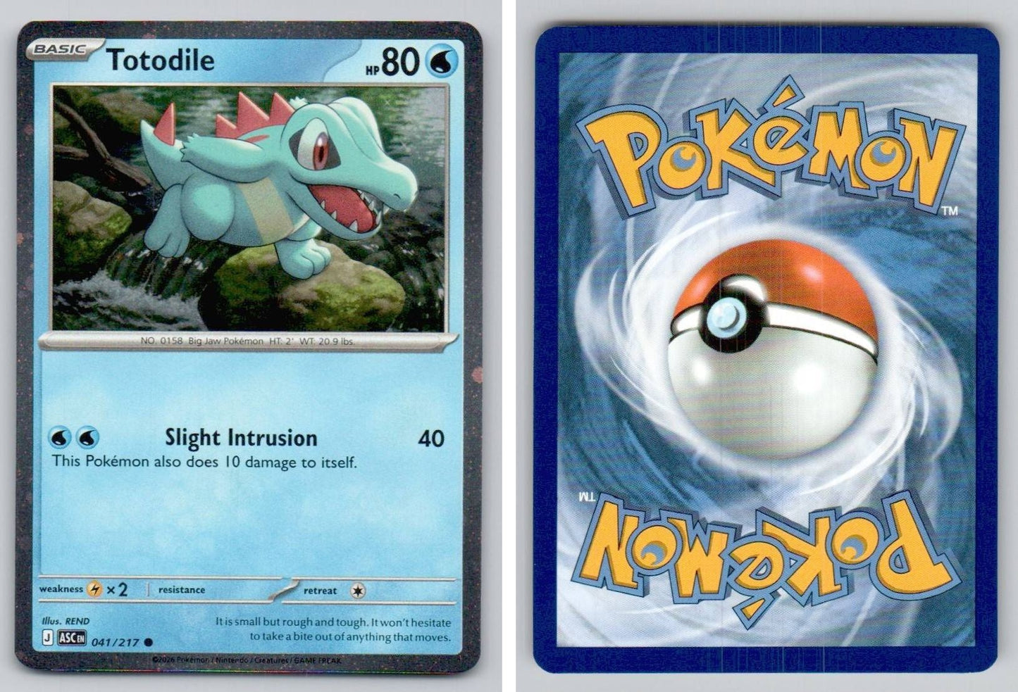 Front + Back scan