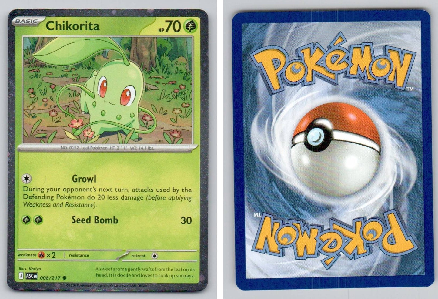 Front + Back scan