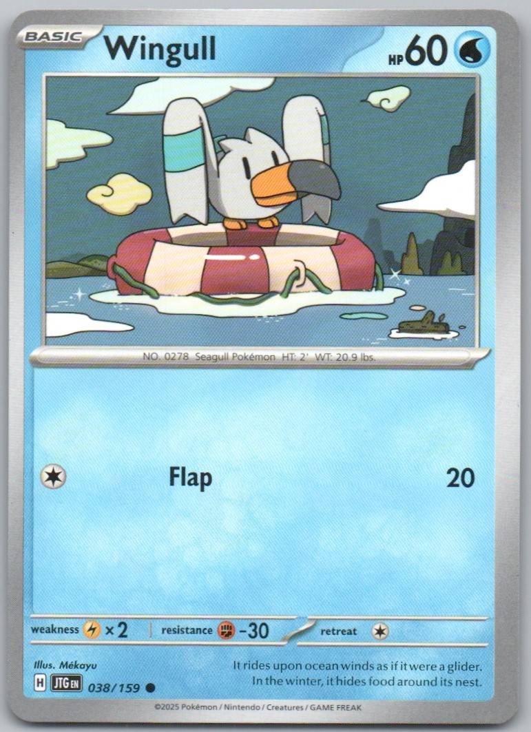 38 - Wingull