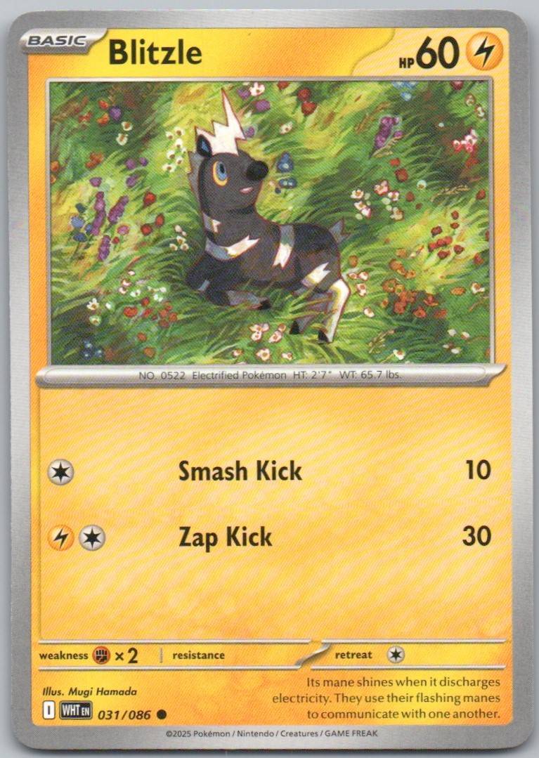 31 - Blitzle