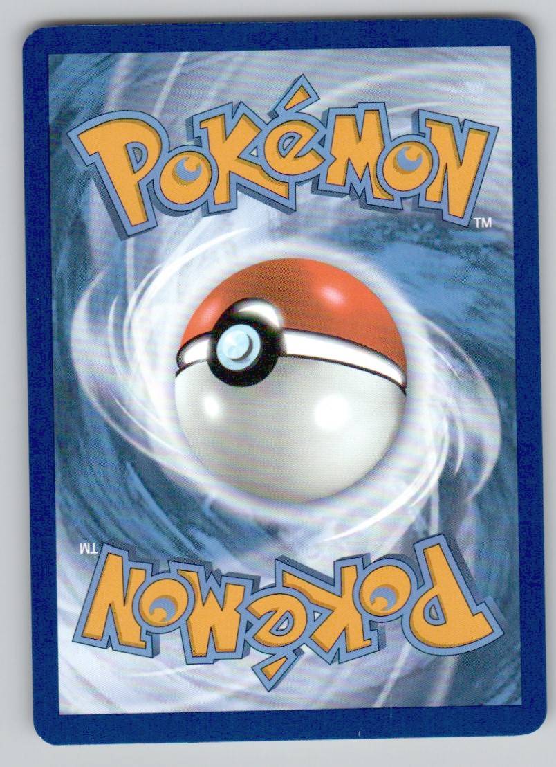 7 - Squirtle