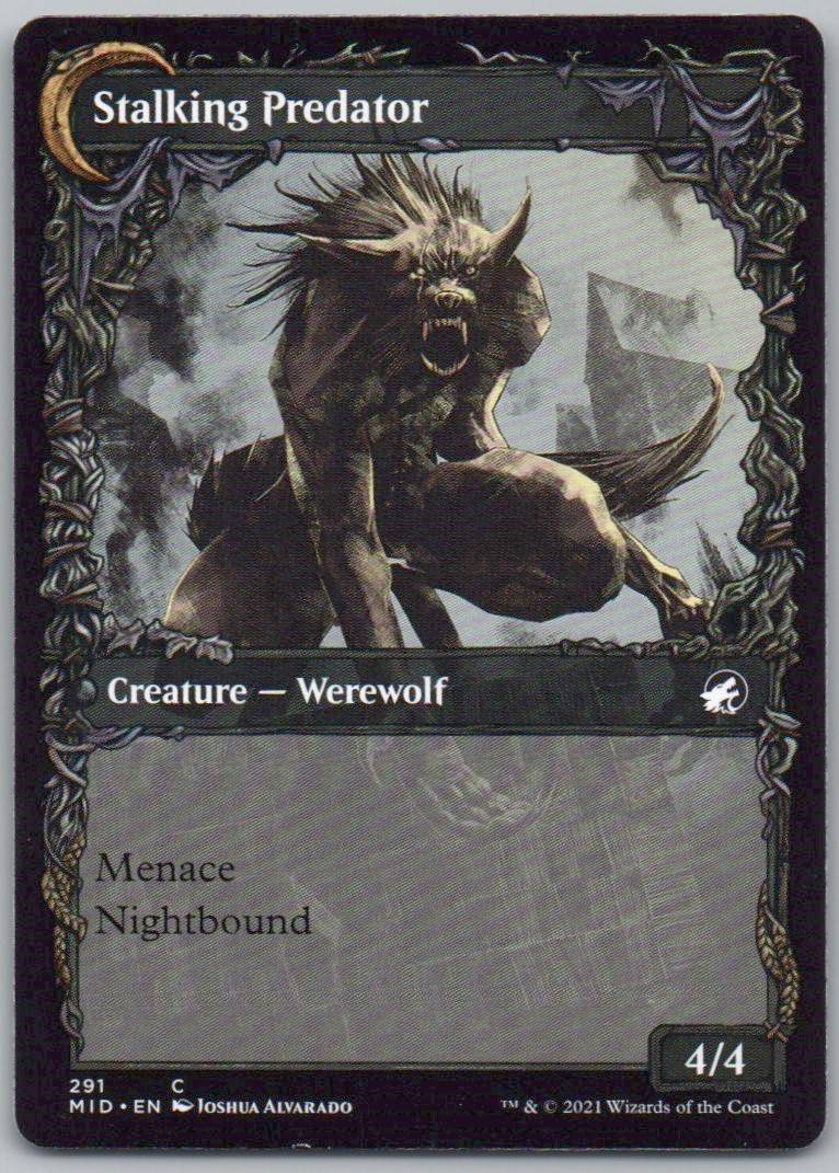 Shady Traveler (Showcase) 291 Normal Creature Card - Innistrad: Midnight Hunt