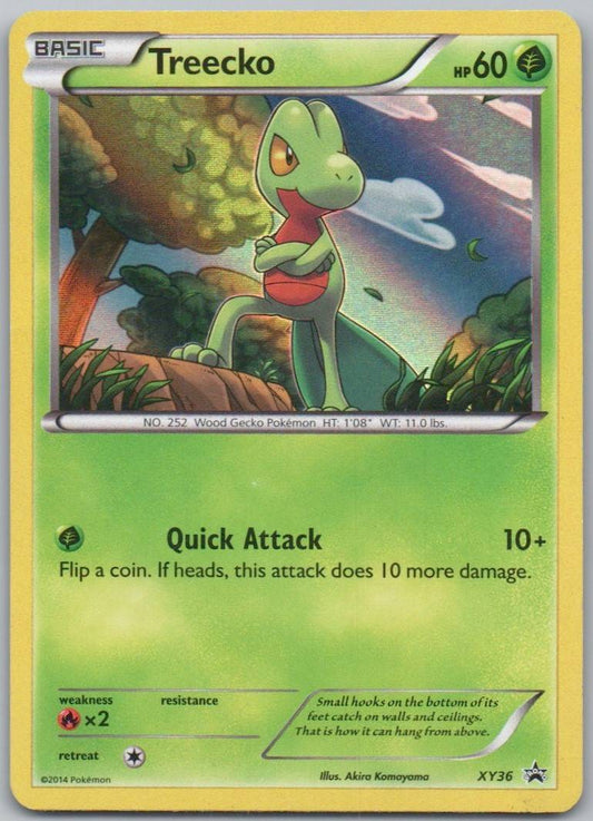 Treecko XY36 Holo Grass Card - XY Promo