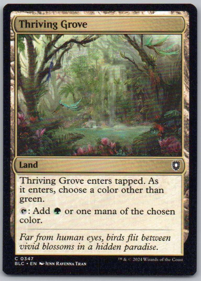 Thriving Grove 347 Normal Land Card - Commander: Bloomburrow