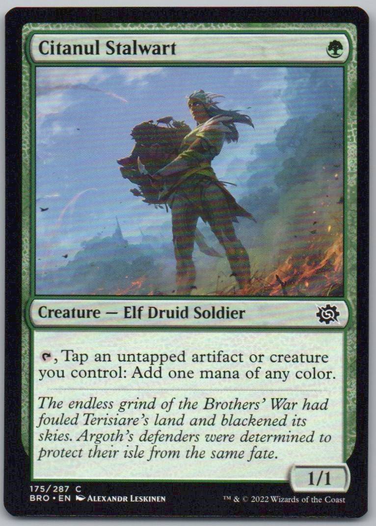 Citanul Stalwart 175 Normal Creature Card - The Brothers' War