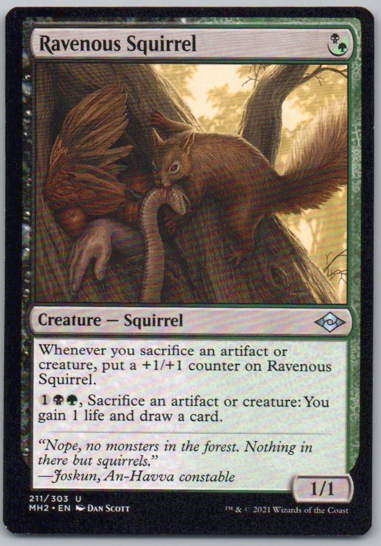 Ravenous Squirrel 211 0 Creature Card - Modern Horizons 2