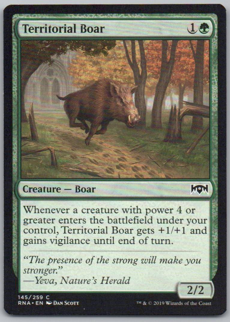 Territorial Boar 145 Normal Creature Card - Ravnica Allegiance