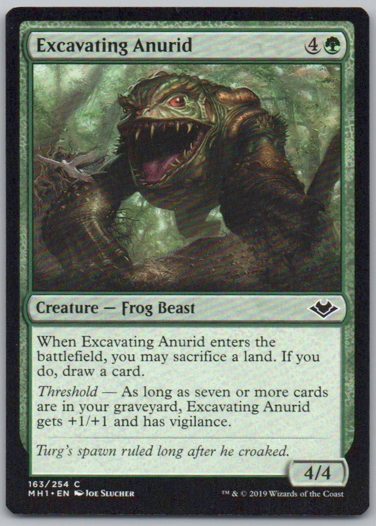 Excavating Anurid 163 Normal Creature Card - Modern Horizons
