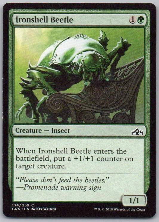 Ironshell Beetle 134 Normal Creature Card - Guilds of Ravnica